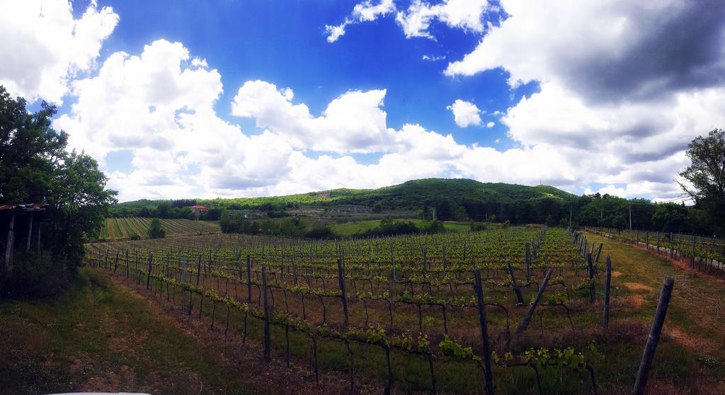 הוילה ארצו Agriturismo La Cella מראה חיצוני תמונה