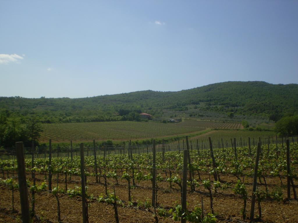 הוילה ארצו Agriturismo La Cella מראה חיצוני תמונה